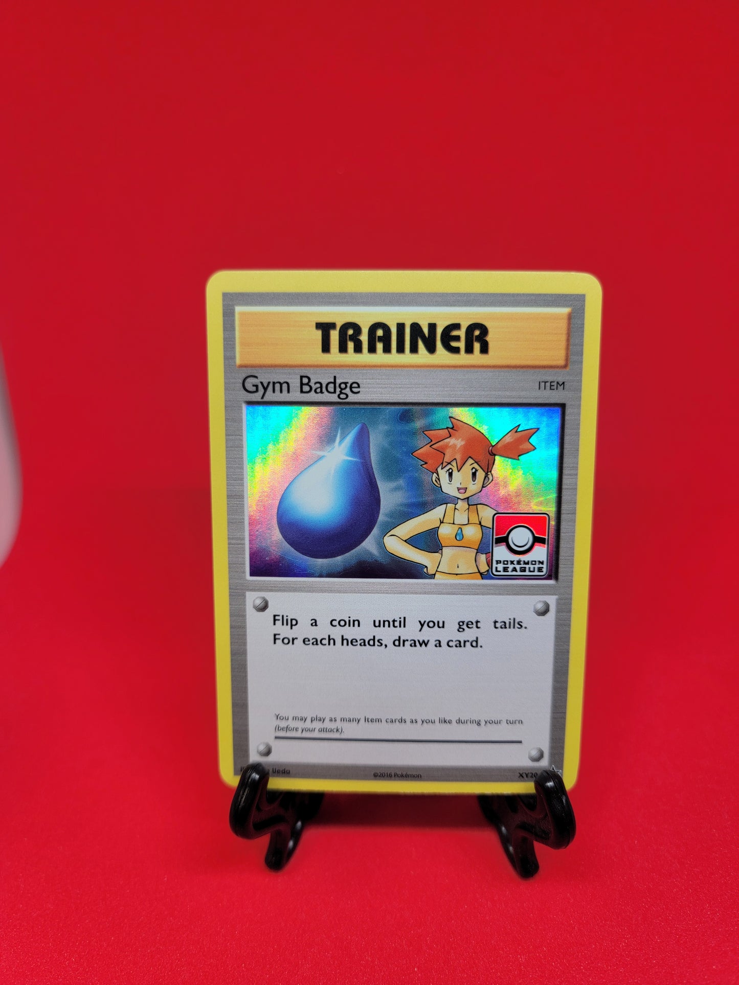 Promo Set - Gym Badge Trainer #XY202-210 [ENG]