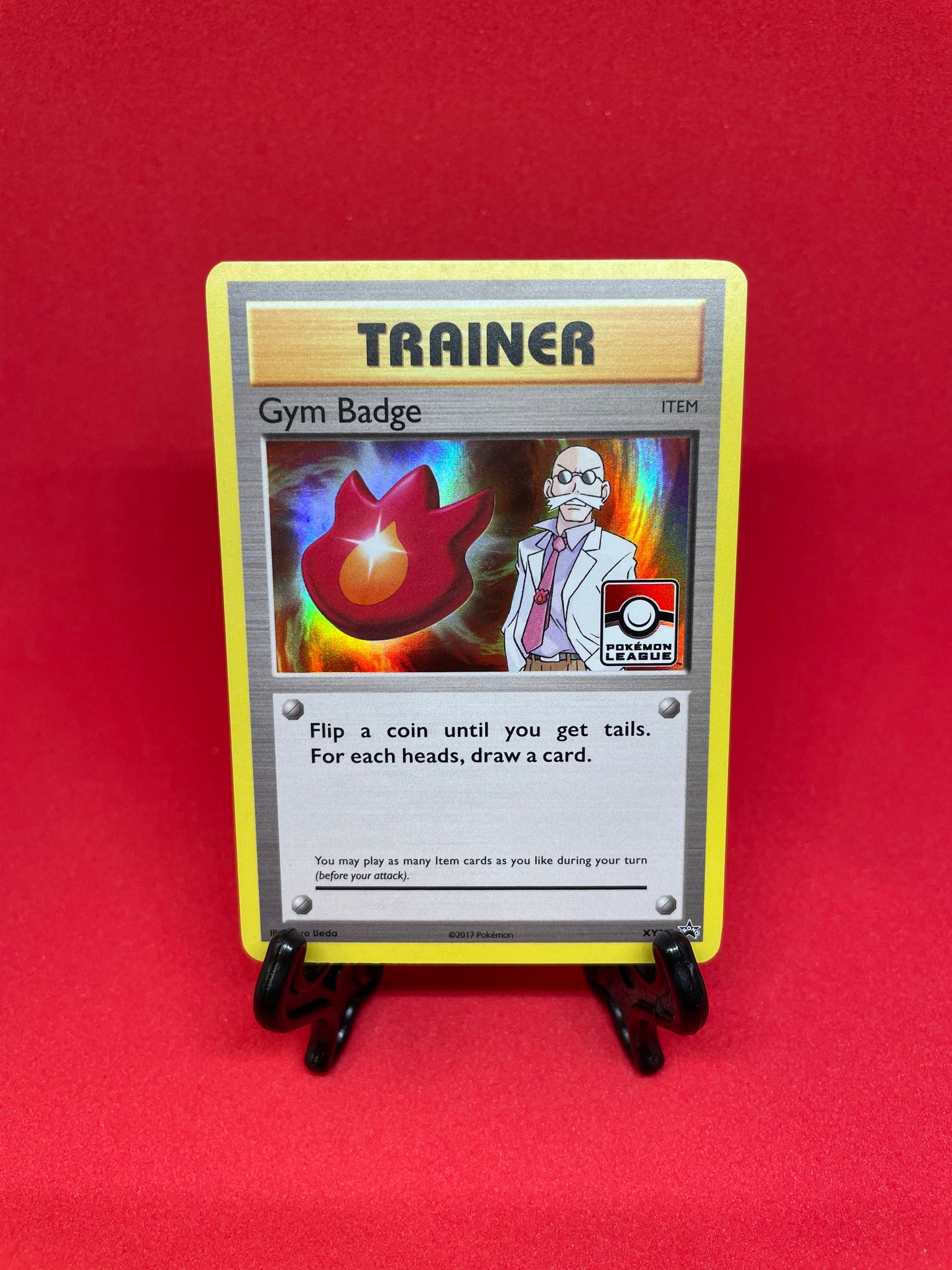 Promo Set - Gym Badge Trainer #XY202-210 [ENG]