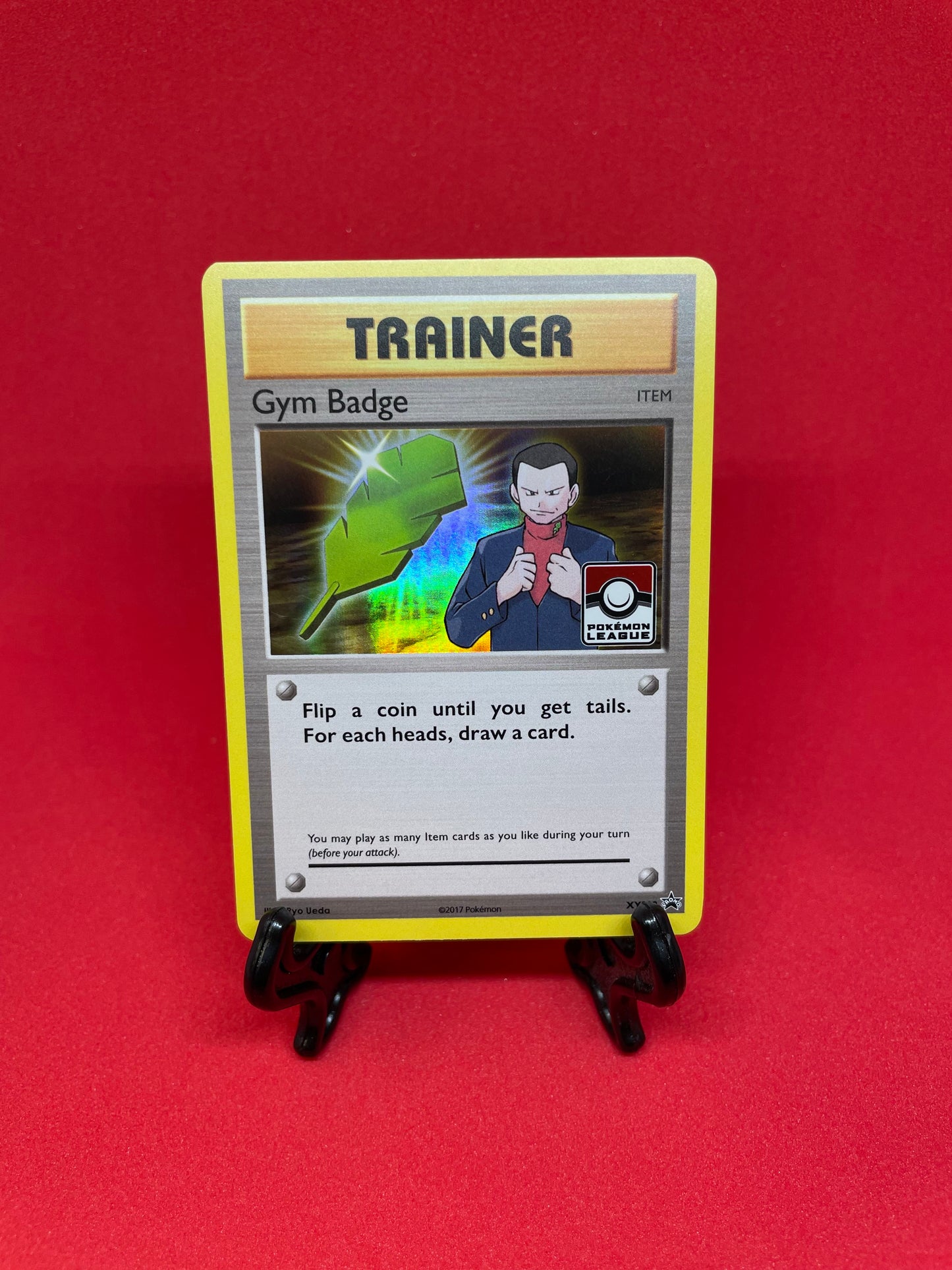 Promo Set - Gym Badge Trainer #XY202-210 [ENG]