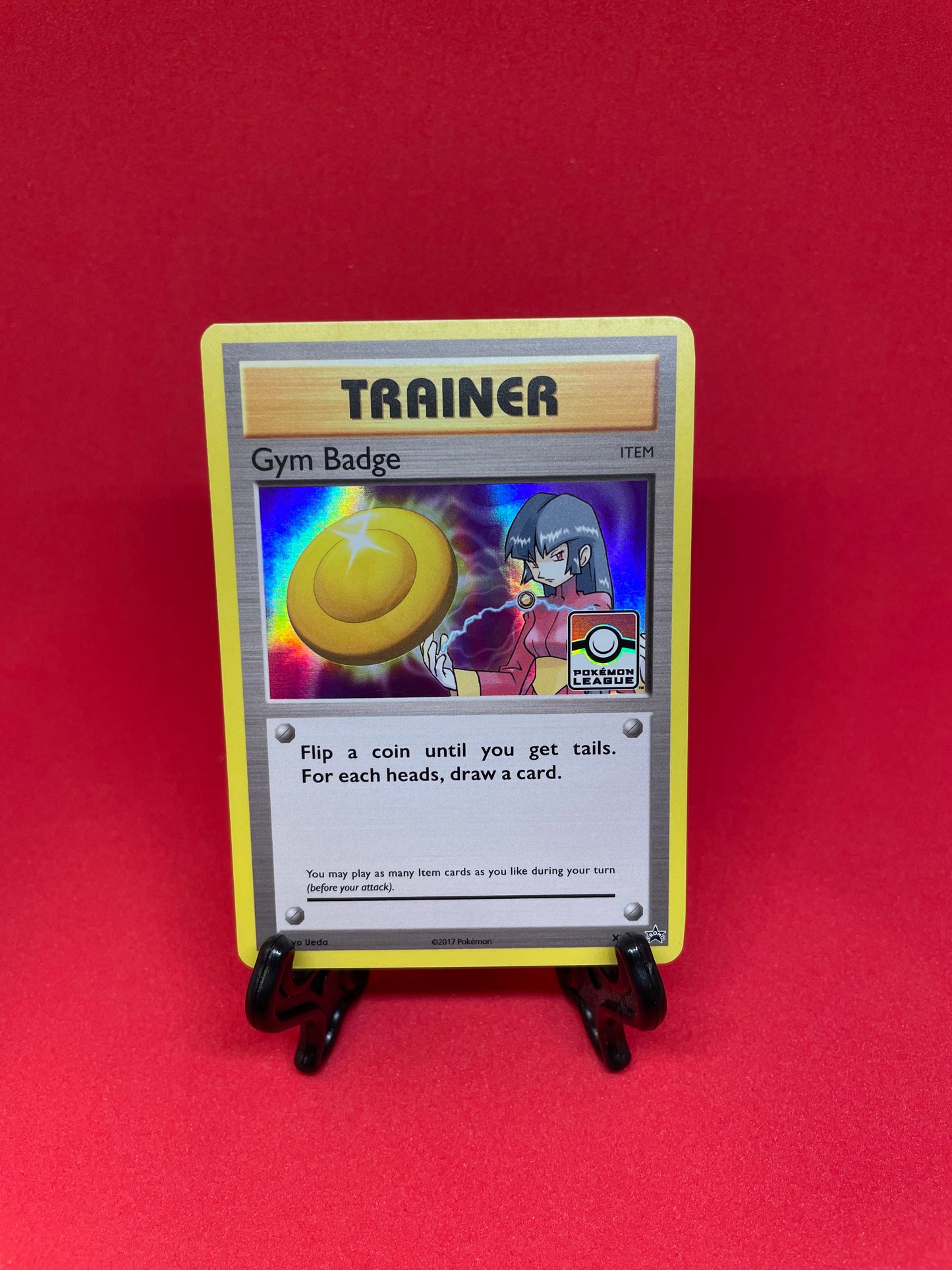 Promo Set - Gym Badge Trainer #XY202-210 [ENG]