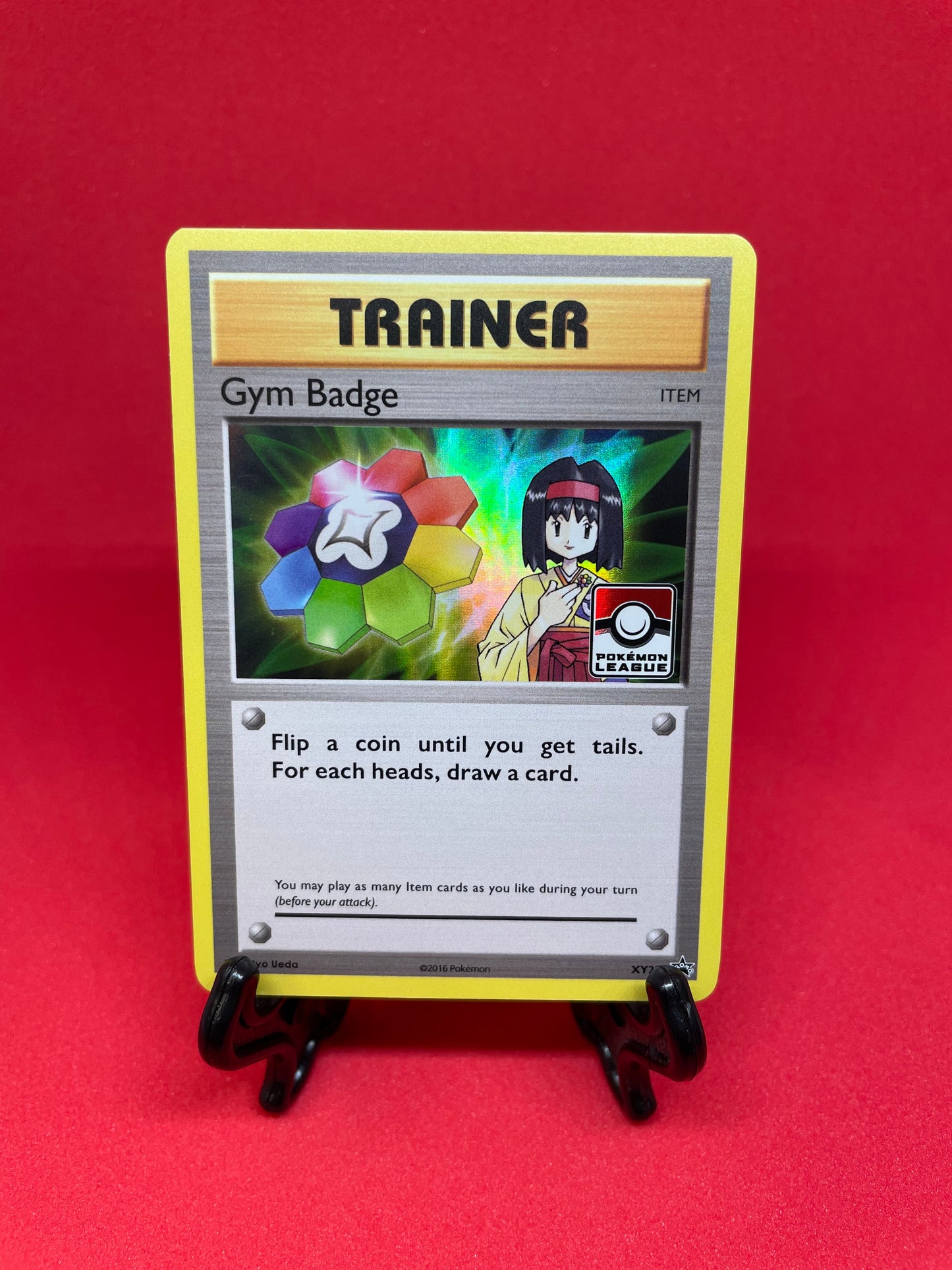 Promo Set - Gym Badge Trainer #XY202-210 [ENG]